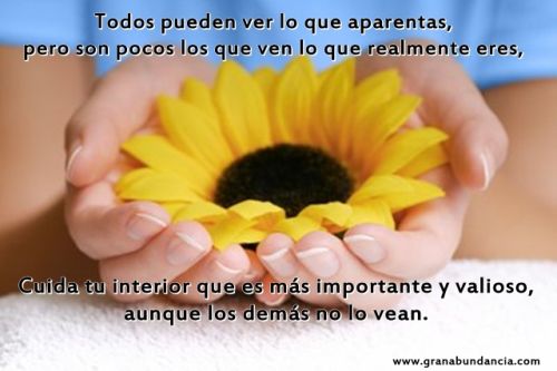 Pensamientos bonitos en fotos Fotos con pensamientos bonitos